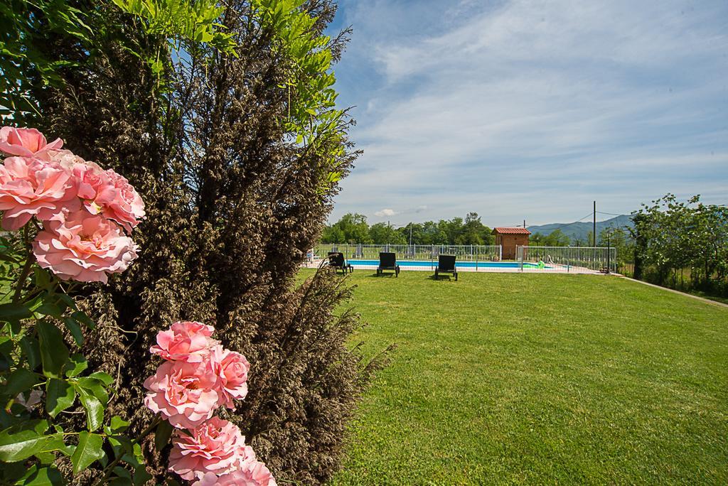 Agriturismo Il Musaccio Barga Ngoại thất bức ảnh